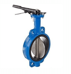 Butterfly Valve Manufacturer in India