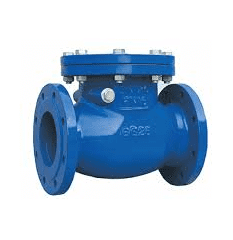 Check Valve Manufacturer in India